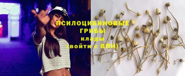 таблы Дмитров