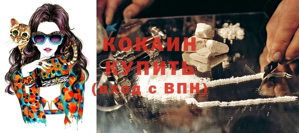 прущая мука Дмитриев