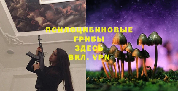 трава Гусев