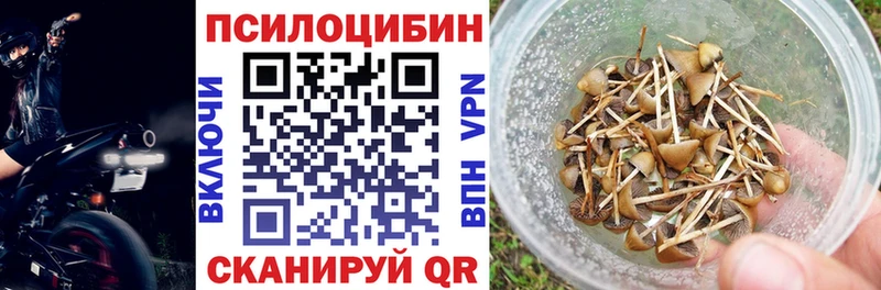 купить  цена  Спас-Деменск  Псилоцибиновые грибы мицелий 